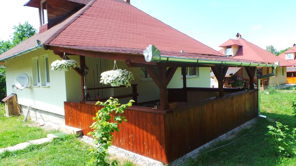 Вилла Casa Ada Arpasu de Sus Номер фото